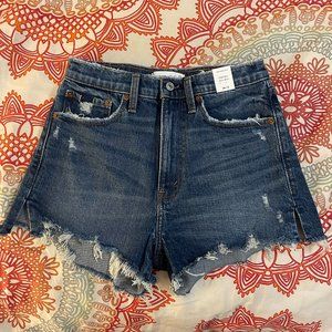 Abercrombie High Rise Mom Shorts